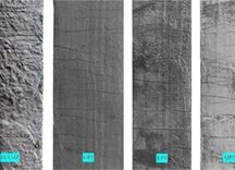 钢筋替代新材料深度研究报告：应用场景、性能分析、动因与落地实践