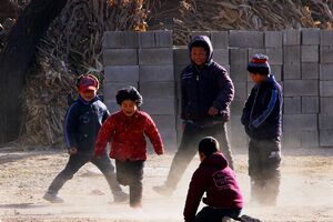 80后群体的职业、经济、睡眠与心理健康（1980-2026）