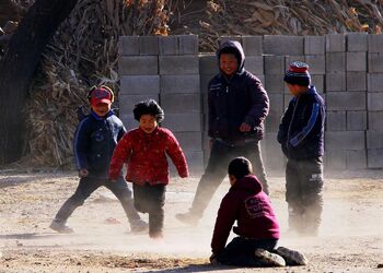 80后群体的职业、经济、睡眠与心理健康（1980-2026）