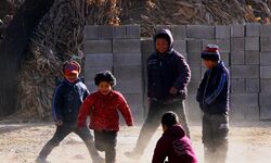 80后群体的职业、经济、睡眠与心理健康（1980-2026）