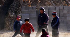 80后群体的职业、经济、睡眠与心理健康(1980-2026)