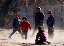 80后群体的职业、经济、睡眠与心理健康（1980-2026）