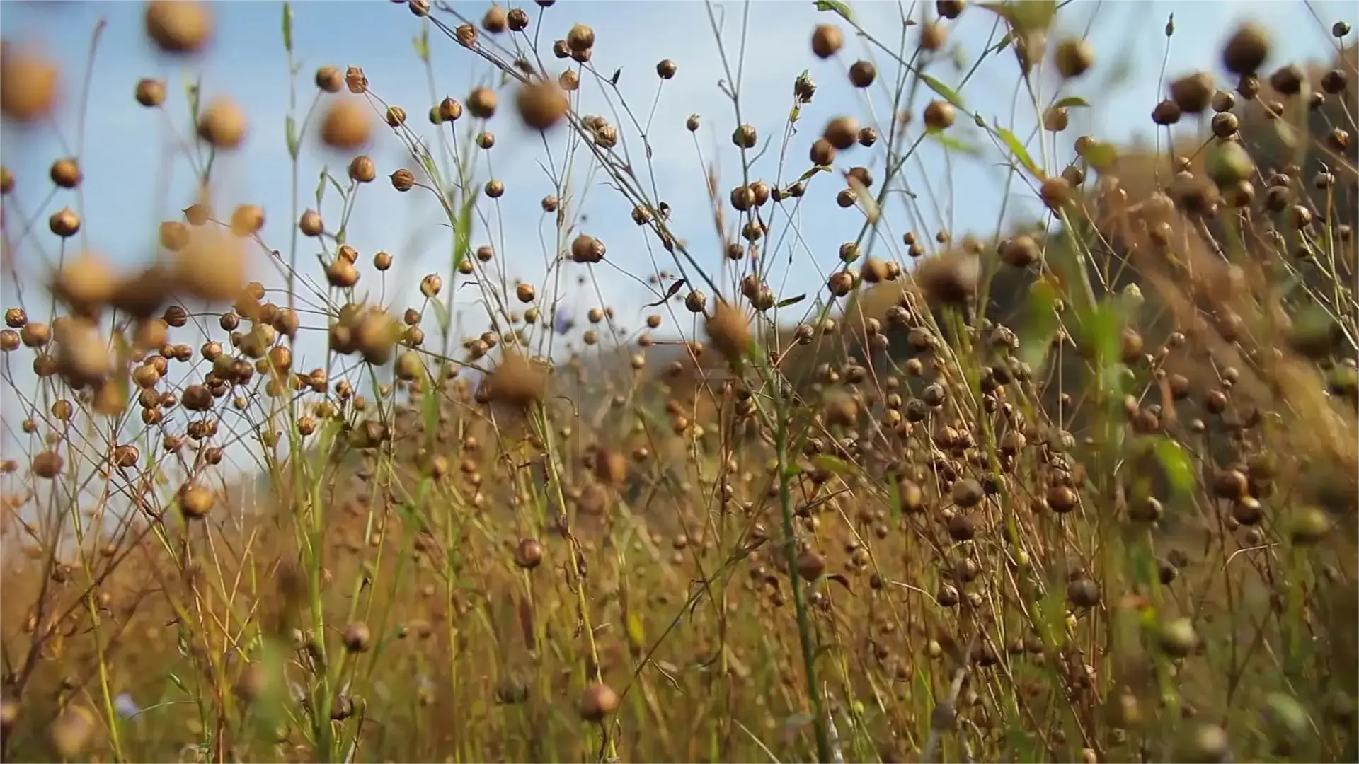 00003.webp 00003.webp