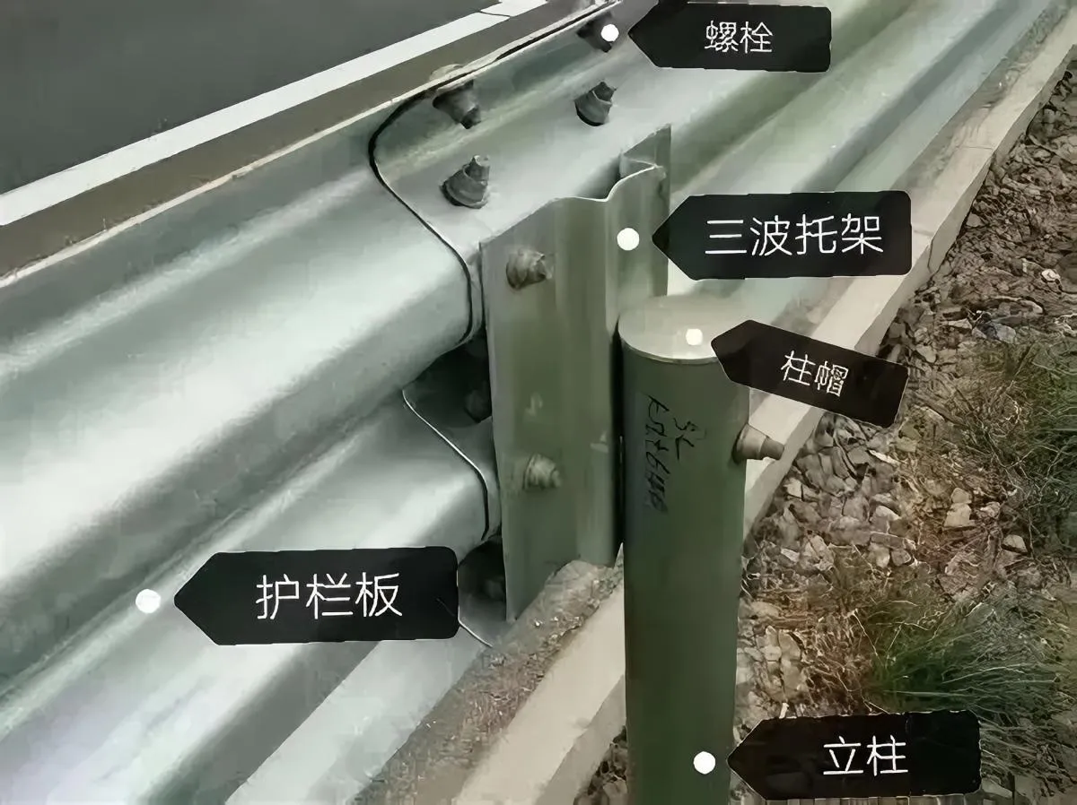 OIP-C.webp OIP-C.webp