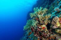 走遍中国=走遍世界？除了南极大冰盖，确实相当于走遍世界！